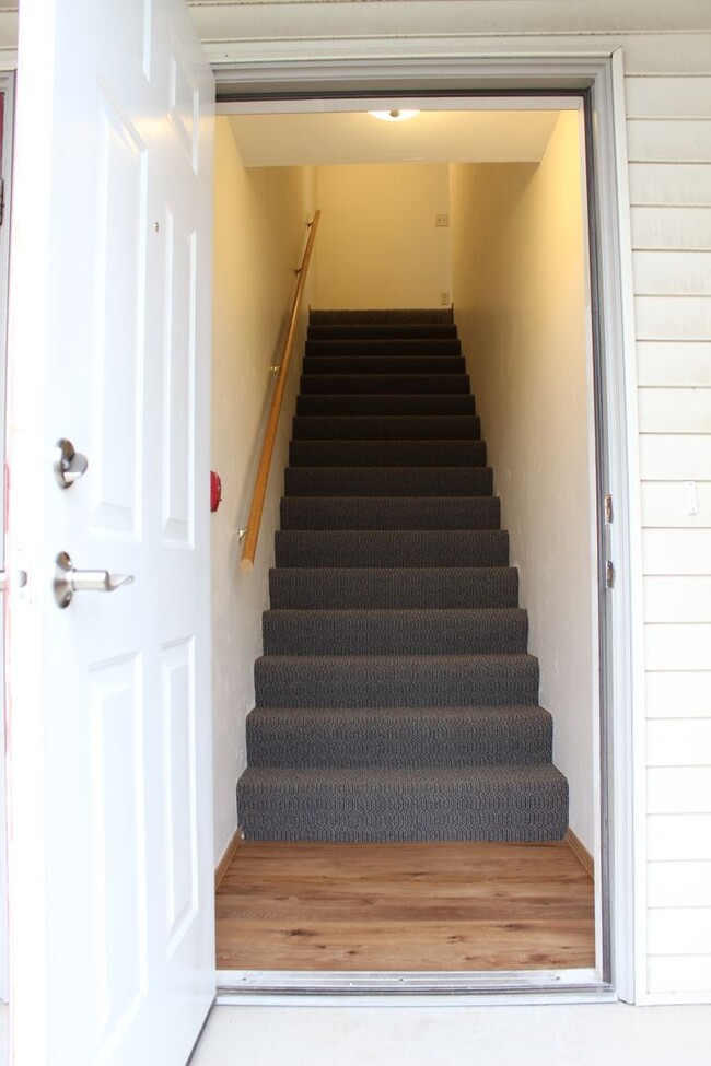 Interior Photo - Shade Tree