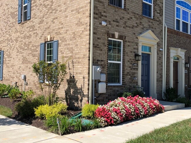 Photo - 8142 Miner St Townhome