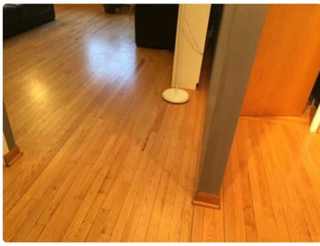 1112 N Harlem Ave, River Forest, IL 60305 Condo for Rent in River