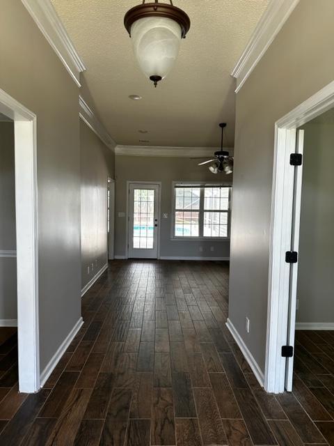 Foto del edificio - 502 Myles Ln