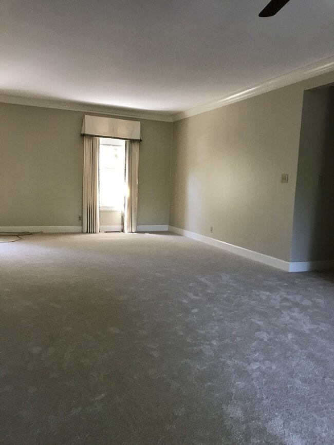Building Photo - First Floor Condo South of Broad