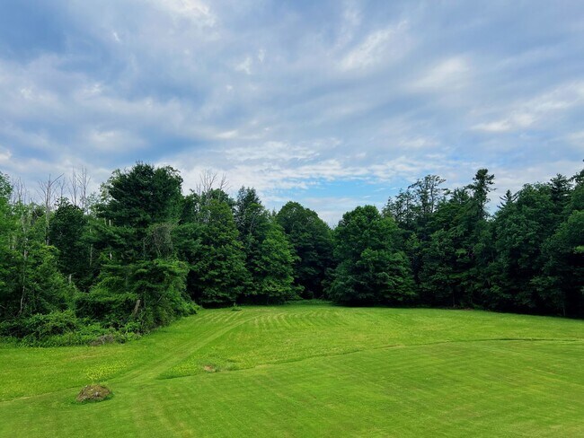 Foto del edificio - 1-Bedroom Apartment with Panoramic Wooded ...