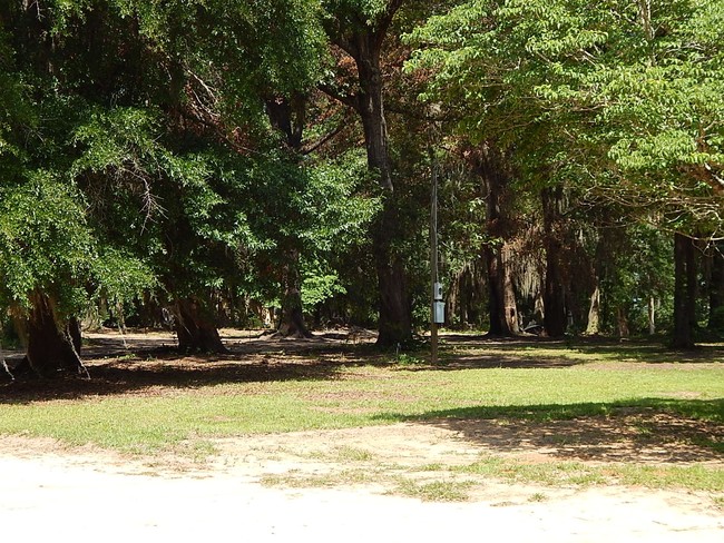 Foto del edificio - 124 Whispering Oak Rd