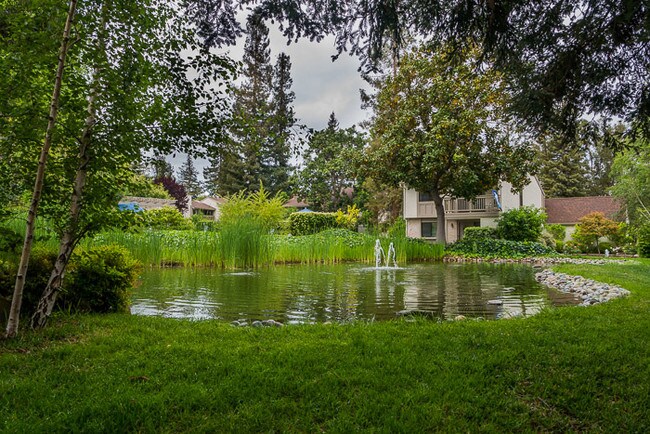 Foto del edificio - 19631 Vineyard Ln