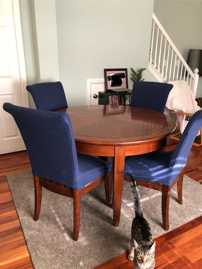 Foto del edificio - 11126 Windsor Place Cir