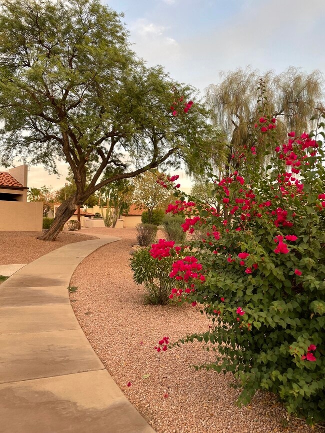 Building Photo - 10929 E Yucca St