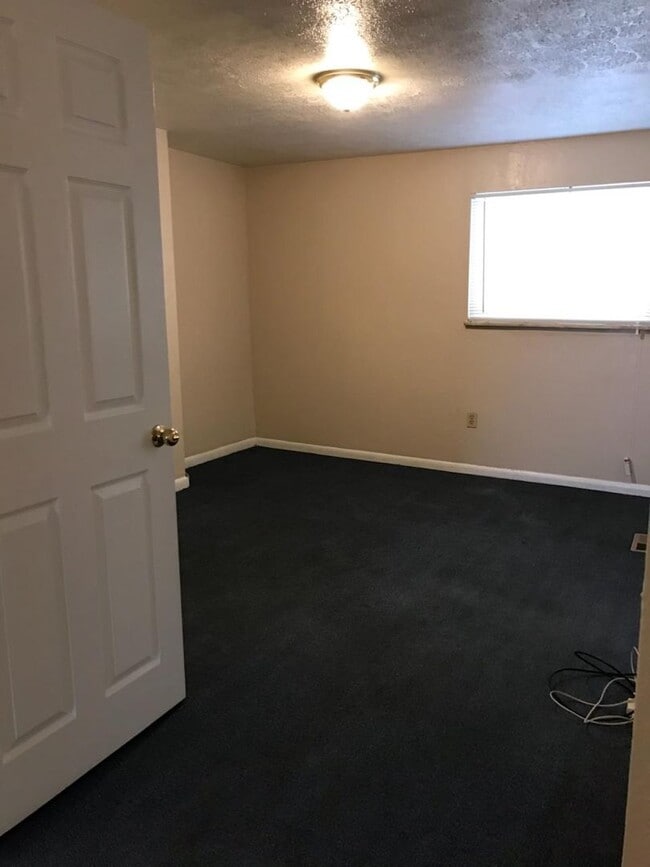 Building Photo - 241 Reifert St