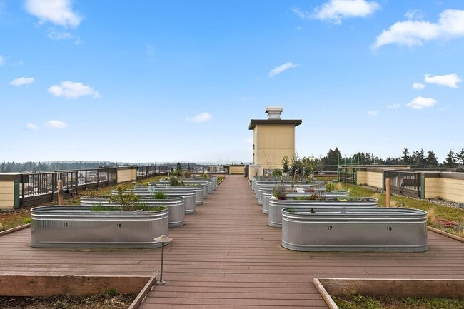 SHAG Interurban Senior Living P-Patch Rooftop Garden - Interurban Senior Living