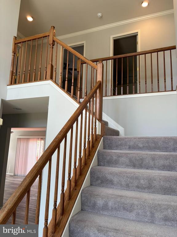 Foto del edificio - 506 Summervale Ct