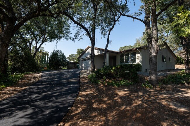 Foto del edificio - Beautiful Cameron Park New Build!