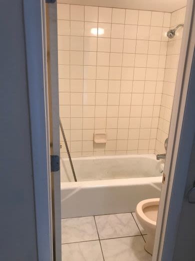 Foto principal - 2616 Lemon Tree Ln
