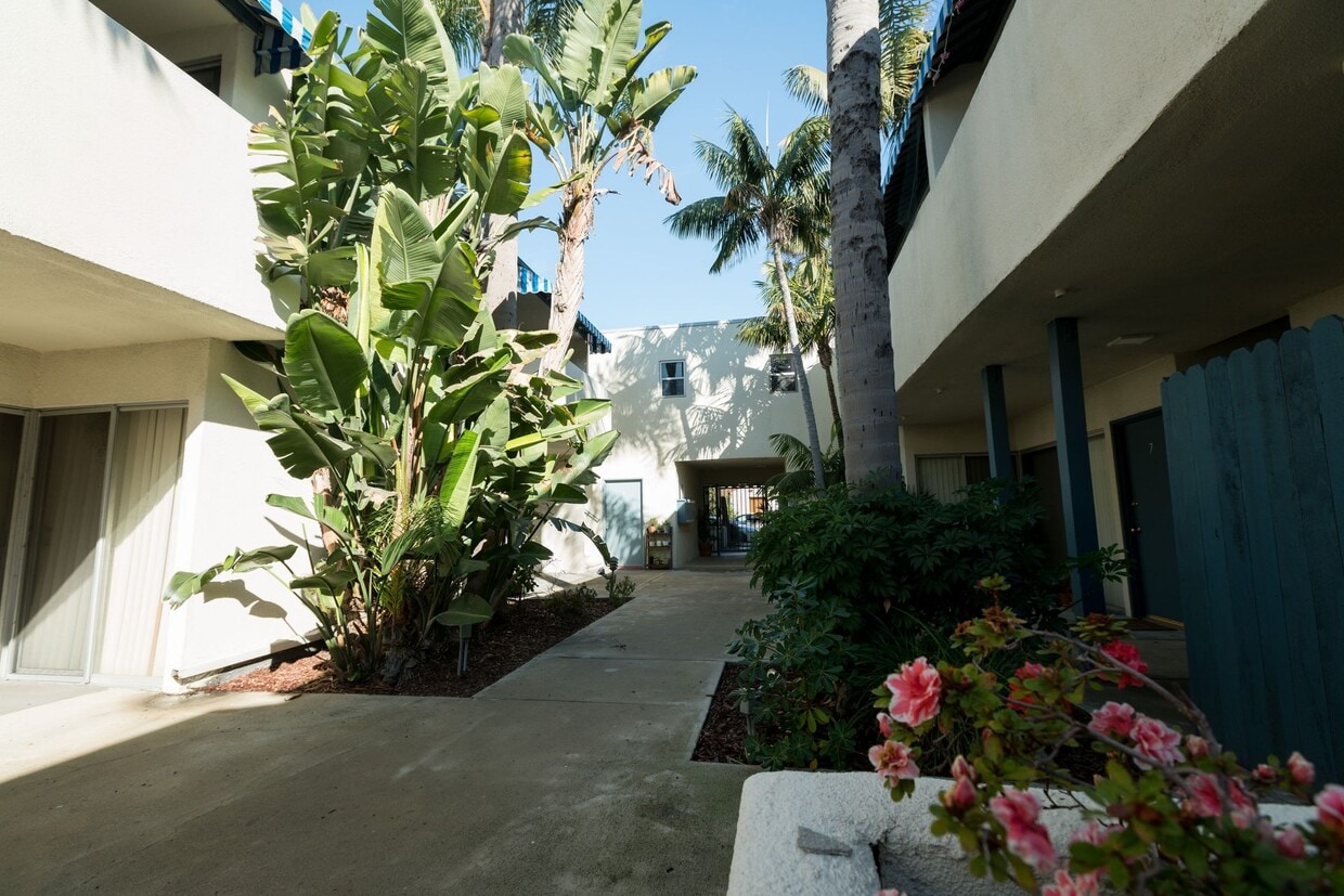 3537 Clarington Ave Apartments in Los Angeles, CA