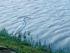 Building Photo - 4114 Fisher Lake Dr