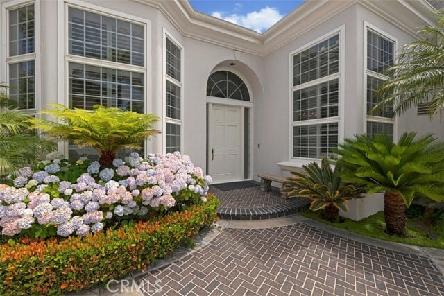 Building Photo - 97 Ritz Cove Dr