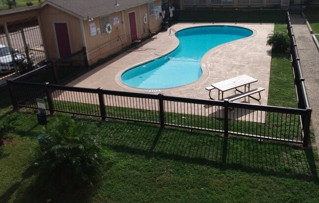 Pool and deck - 2311 71st St