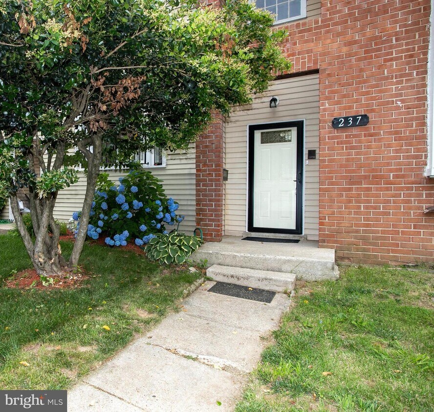 Primary Photo - 237 Castleton Terrace