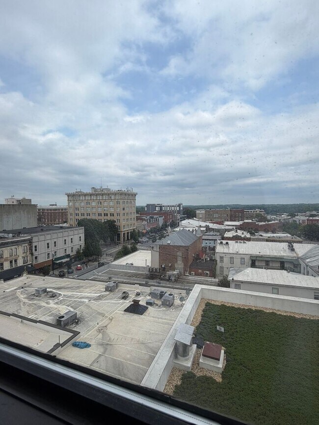 Foto del edificio - BEST VIEWS IN DOWNTOWN