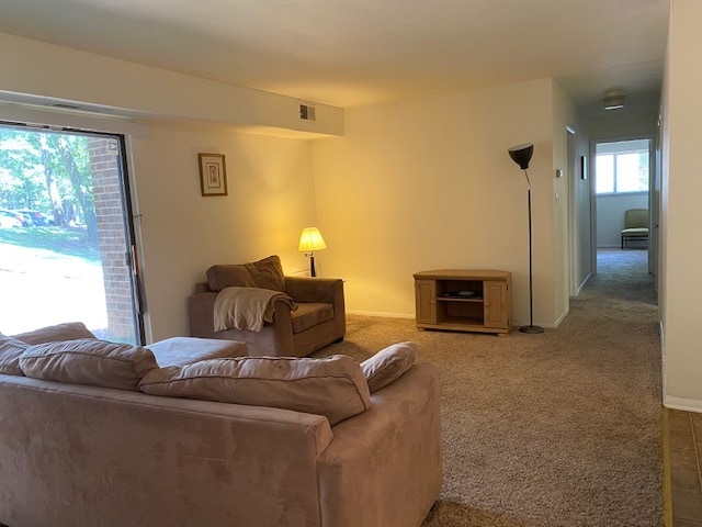 living room - 1010 Sandlin Pl