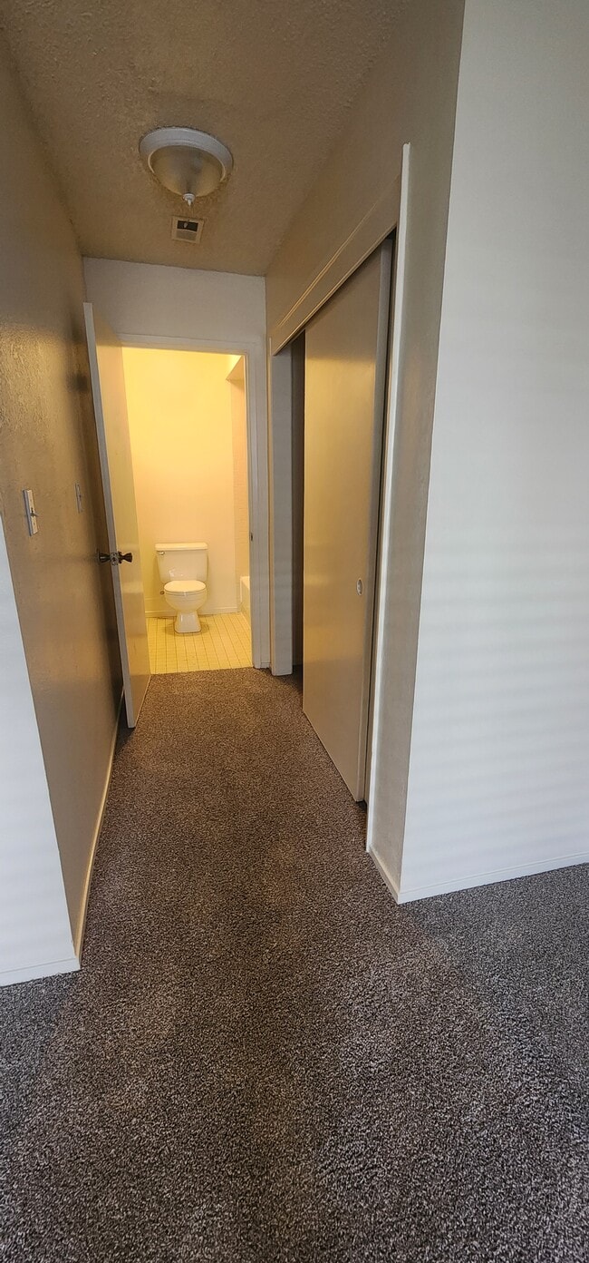 Bdrm 1 Closet and walkway to Bathroom - 5913 Auburn Oaks Dr