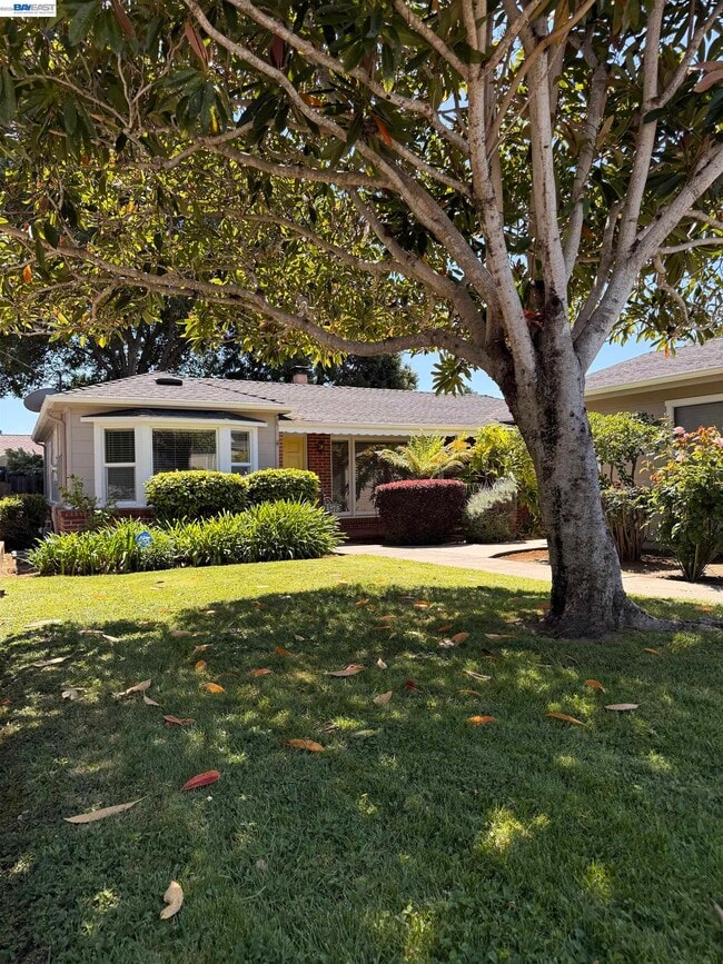 Building Photo - 4275 Heyer Ave