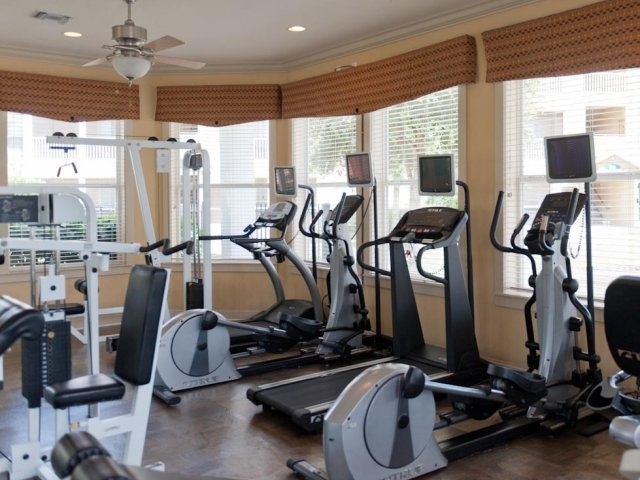 Fitness Center - Trinity Palms at Seven Springs