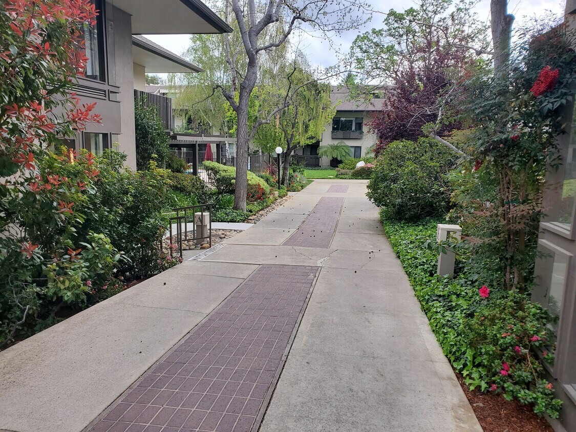 2140 Santa Cruz Ave Unit A304, Menlo Park, CA 94025 Condo for Rent in