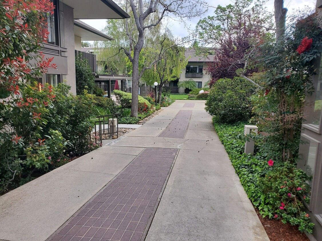2140 Santa Cruz Ave Unit A304, Menlo Park, CA 94025 Condo for Rent in