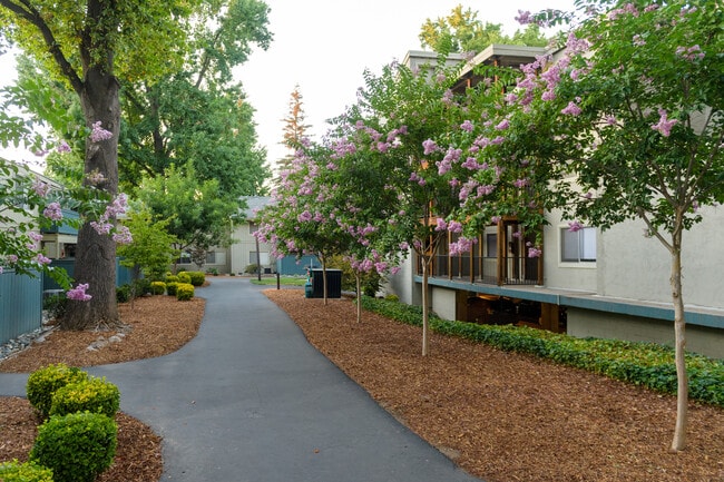 Building Photo - American River Commons