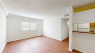Located at 1200 Southwood Pkwy in Richmond, VA, this single-floor, one-bedroom, one-bathroom unit offers a practical and well-organized layout. The combined living and dining area serves as the heart of the home, featuring warm hardwood-style flooring that runs throughout, crisp white walls, and a textured ceiling. A double-panel front door with sidelight windows invites natural light into the main living space, creating a bright and welcoming atmosphere. The open sightline from the living area toward the kitchen is framed by a partial dividing wall with a pass-through counter, providing a functional connection between spaces. The kitchen features wood-toned cabinetry and includes appliances within a compact, efficient footprint. The bedroom is a comfortable, well-proportioned room with a window providing natural light, continuing hardwood-style flooring, and a dedicated closet for storage. A hallway connects the main areas and leads to the full bathroom, which features a classic white tiled tub and shower surround with a built-in niche shelf. A utility room adds additional practicality to the unit. Clean finishes, consistent flooring, and a neutral color palette throughout give this unit a tidy, move-in-ready feel.