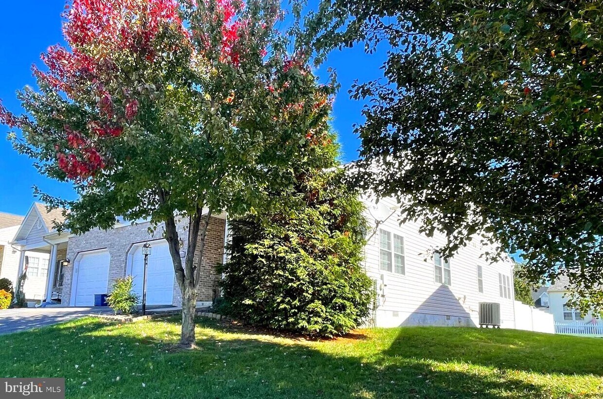 Foto principal - 14223 Shelby Cir