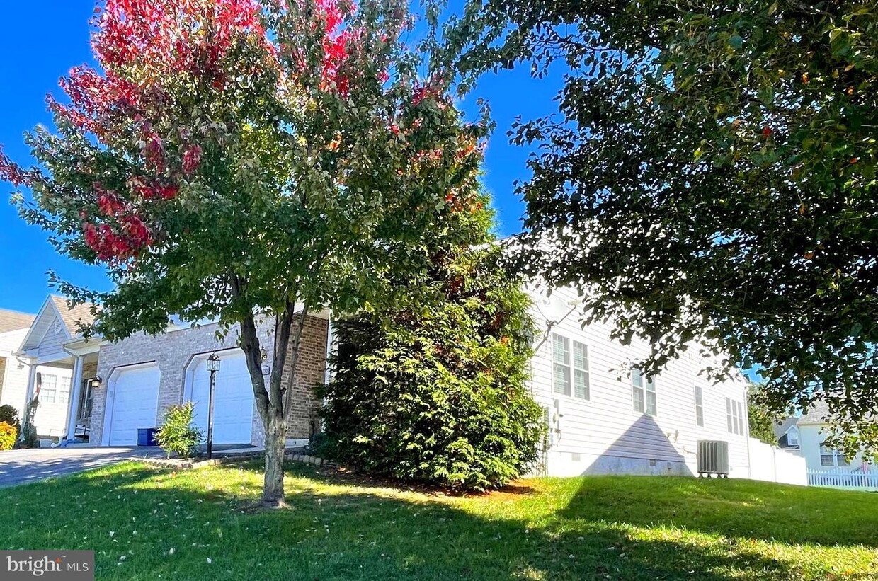 Primary Photo - 14223 Shelby Cir