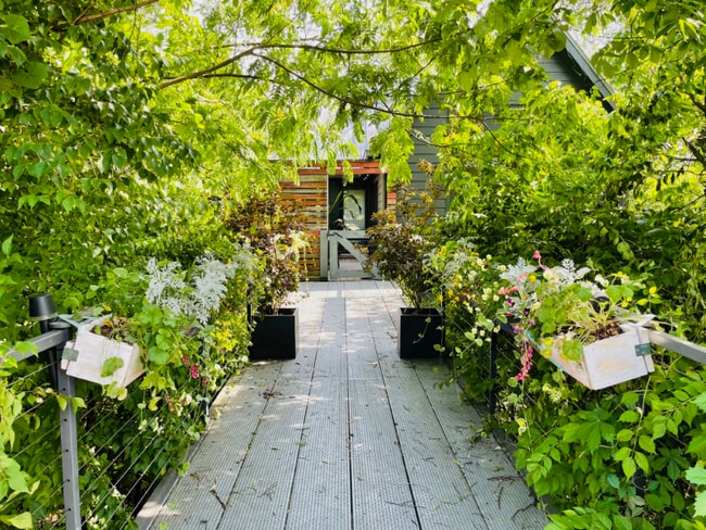 Photo - 1418 Shelby Ave House