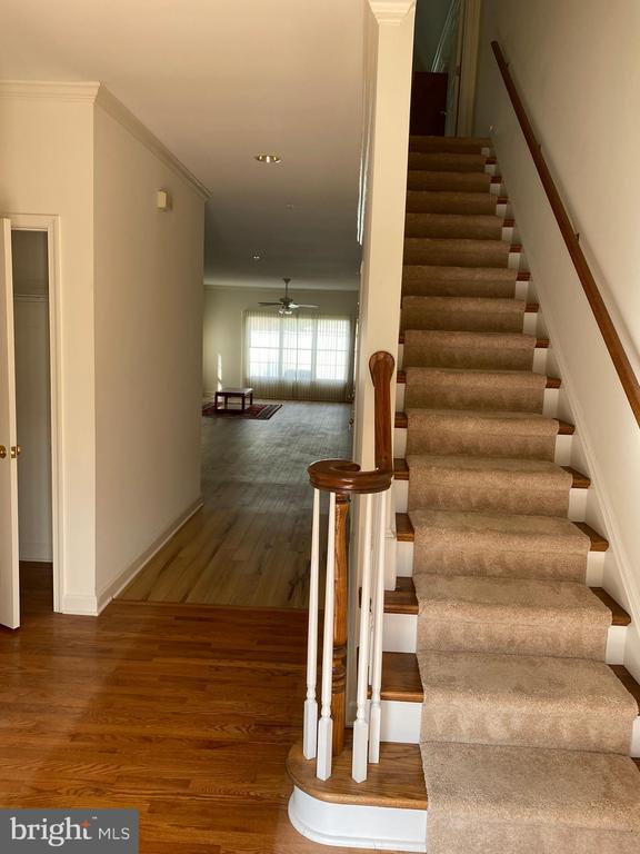 Building Photo - 28498 Sawgrass Ct