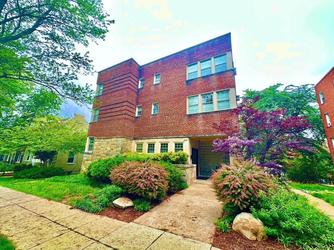 Primary Photo - Great Studio in Glover Park/North Georgeto...