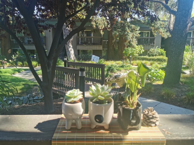 Foto del edificio - 3375 Homestead Rd