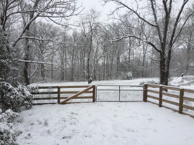 Fenced yard - 2543 Taylors Gap Rd