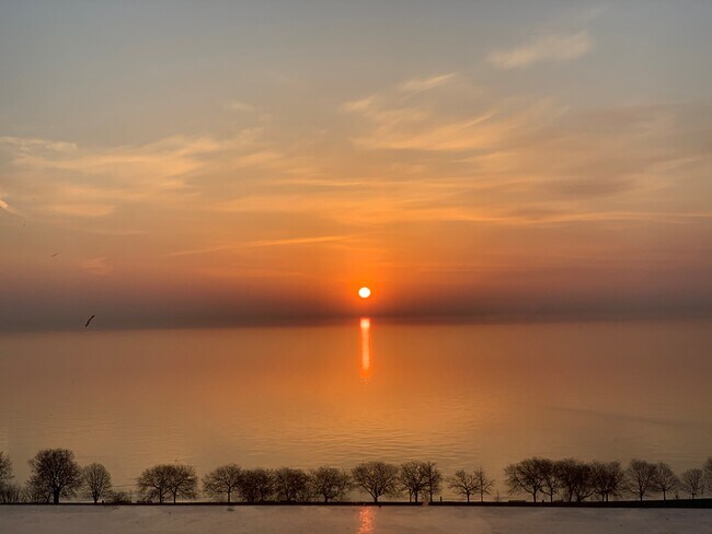 Foto del edificio - 5445 N Sheridan Rd