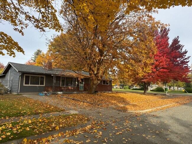 Foto del edificio - Spacious Single-Story Home on Corner Lot