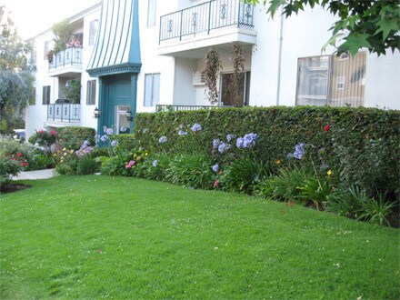 Foto del edificio - 11105 Rose Avenue