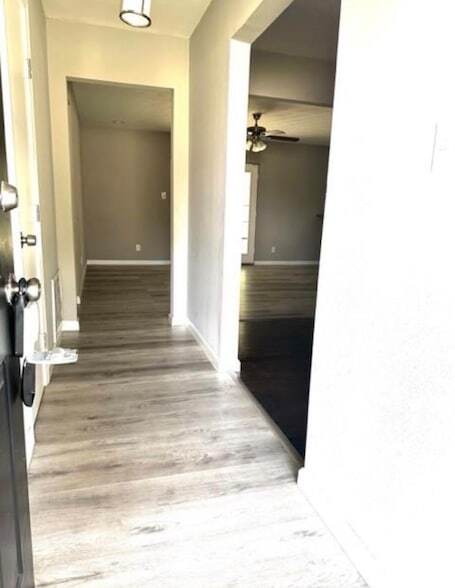 Photo - 13806 Hollypark Dr House