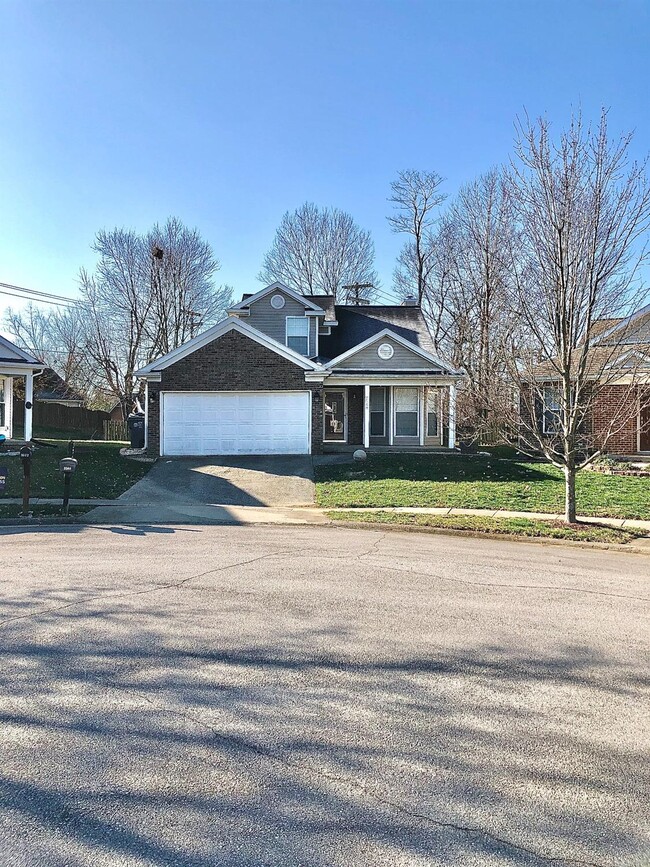 Building Photo - 3568 Forest Spring Ct