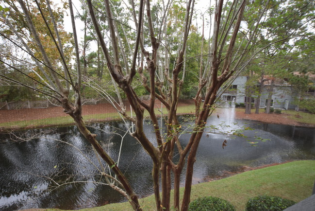 Building Photo - 7940 Parklane Ct