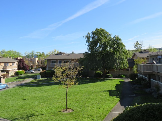 Building Photo - Country Club Apartments