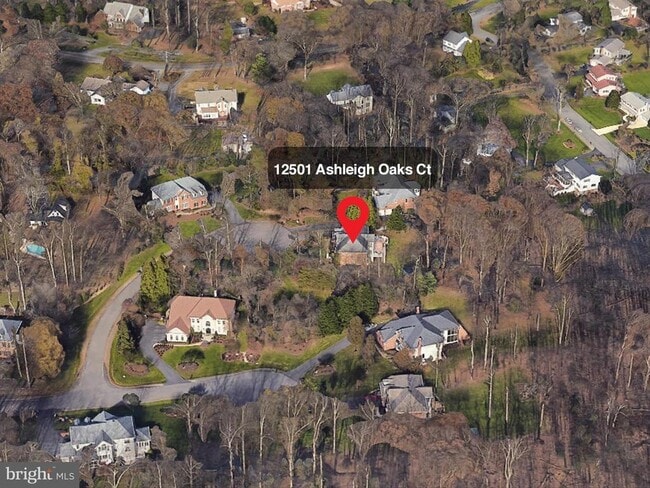 Building Photo - 12501 Ashleigh Oaks Ct