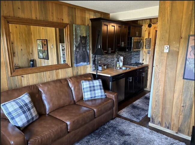 Sala de estar y cocina - 225 Co Rd 804