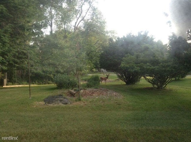 Building Photo - 2 br, 1 bath House - 1731 Seminole Rd