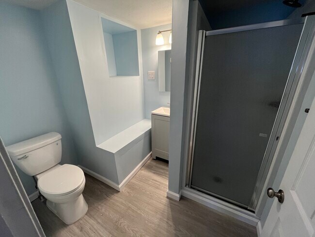 All new bathroom with shower and vanity - 205 Wright Ave