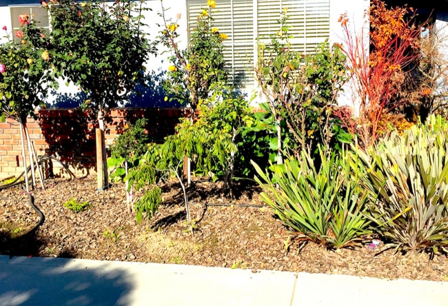 Photo - 1771 Meridian Ave House