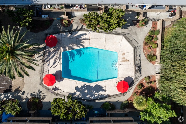 Pool - The Majestic Apartments