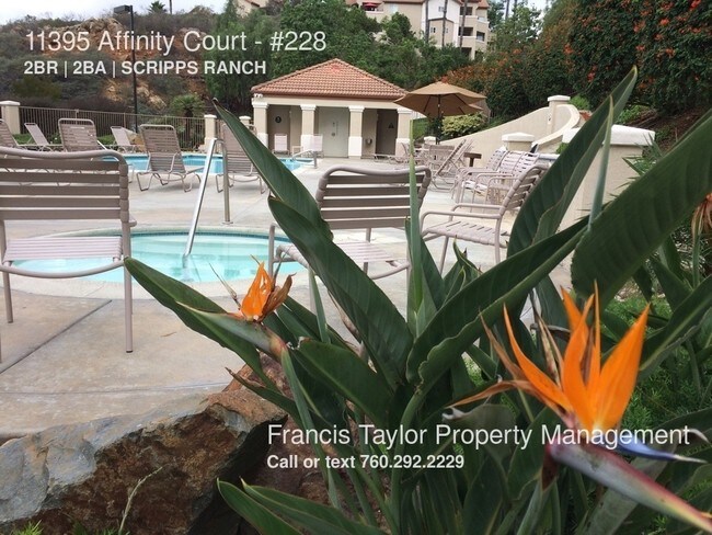 Building Photo - 11395 Affinity Ct
